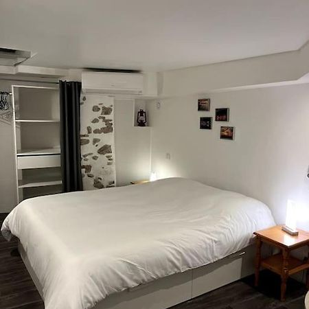 Appartement Climatise Albi - Centre Εξωτερικό φωτογραφία
