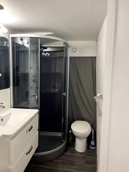 Appartement Climatise Albi - Centre Εξωτερικό φωτογραφία