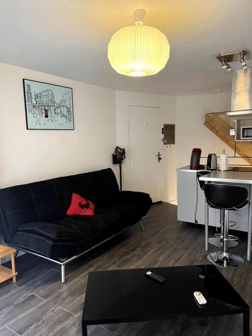 Appartement Climatise Albi - Centre Εξωτερικό φωτογραφία